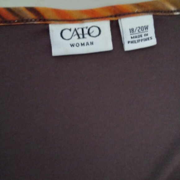 Cato 18/20 Earth tone Tunic - Picture 6 of 8
